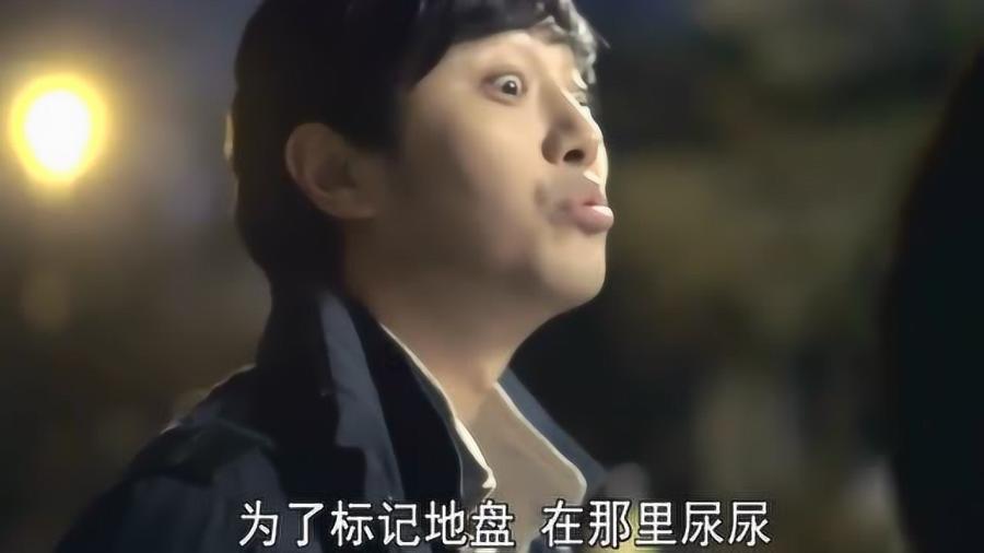 探索留学机构推荐的BHMS学院靠谱么……,参加知识星球平台的独特之旅